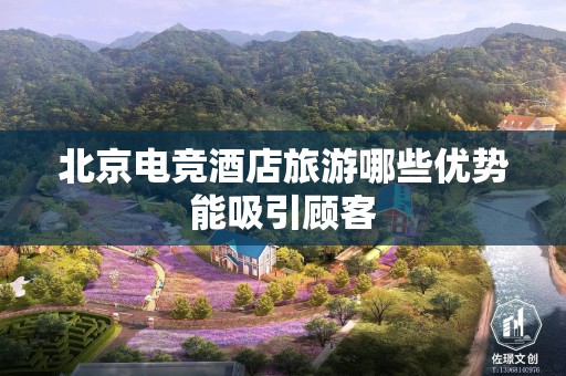 北京电竞酒店旅游哪些优势能吸引顾客