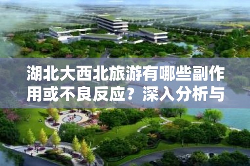 湖北大西北旅游有哪些副作用或不良反应？深入分析与建议