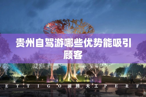 贵州自驾游哪些优势能吸引顾客