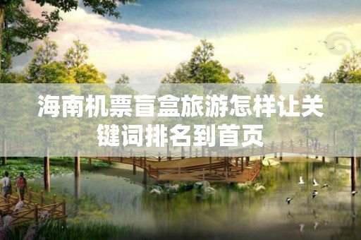 海南机票盲盒旅游怎样让关键词排名到首页