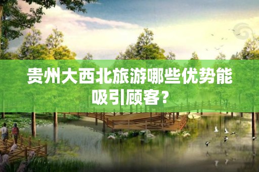 贵州大西北旅游哪些优势能吸引顾客？