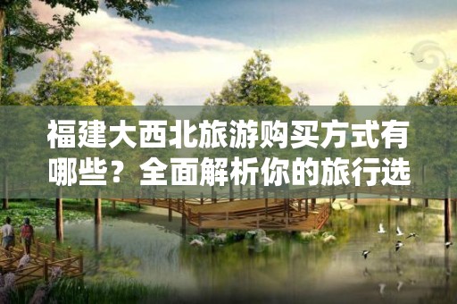 福建大西北旅游购买方式有哪些？全面解析你的旅行选择
