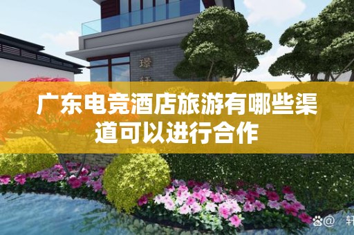广东电竞酒店旅游有哪些渠道可以进行合作