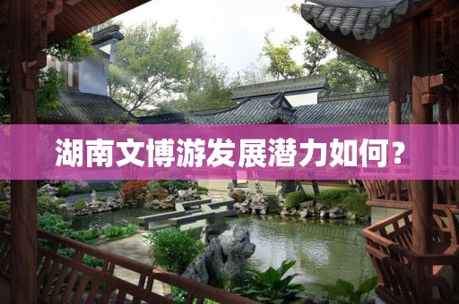 湖南文博游发展潜力如何？